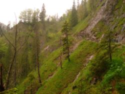 2013-06-01_Regina-F-Rau_Staffelalm_Hochwasser (075).JPG